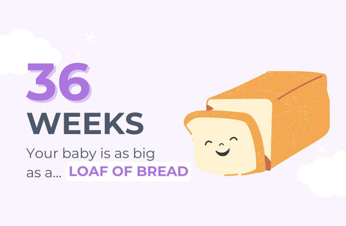 36 Weeks Pregnant: Hormones Gone Wild!