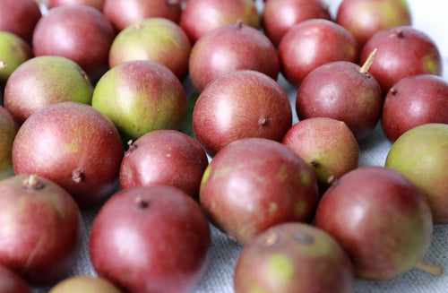 Is Camu Camu Safe During Pregnancy?