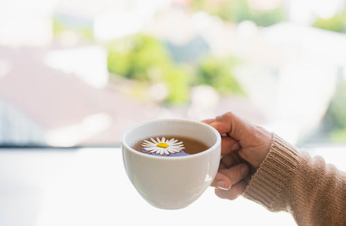 Can I Drink Chamomile Tea During Pregnancy?