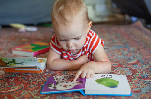 12 Spanish-English Bilingual Books for Babies