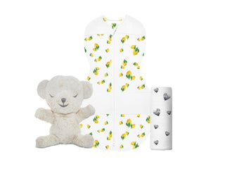 Bringing Home Baby Set