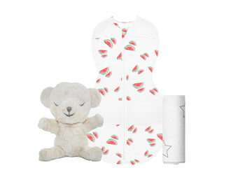 Bringing Home Baby Set