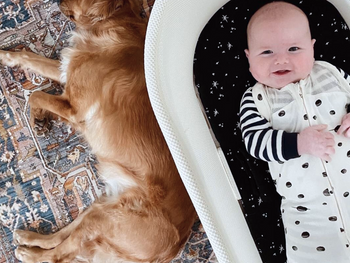 100% Organic SNOO Sleep Sack