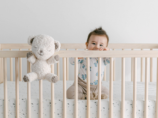 SNOObear® 3-in-1 White Noise Lovey